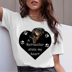 Bull Terrier Rottweiler Kawaii T Shirt Women Beagle Border Collie Malinois Funny T-shirt Cute Whippet Greyhound Tshirt Female